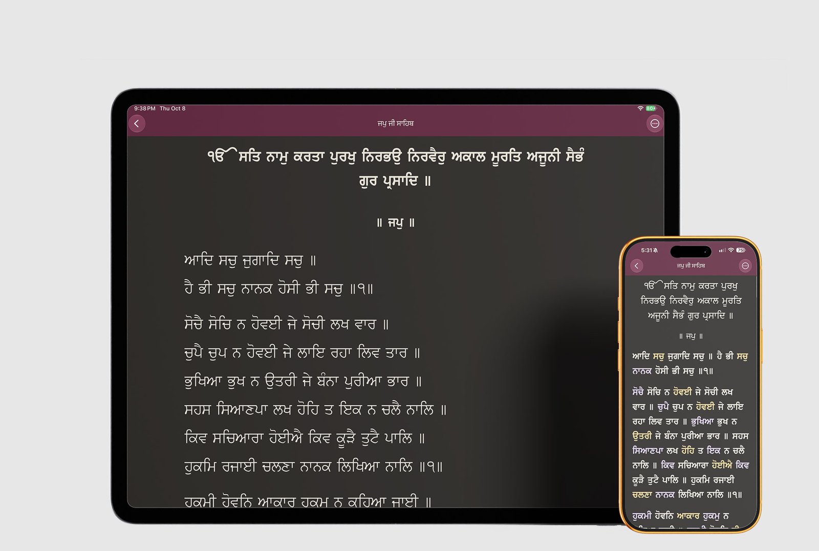 Nitnem banis list and Japji Sahib reader on iPad and iPhone
